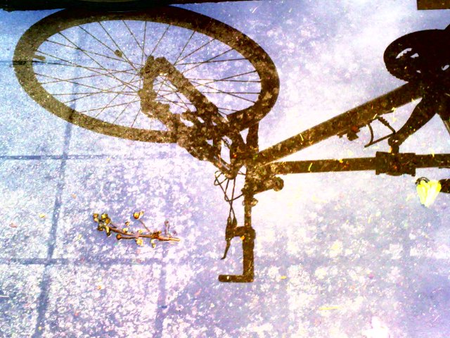 a minha bicicleta de recados