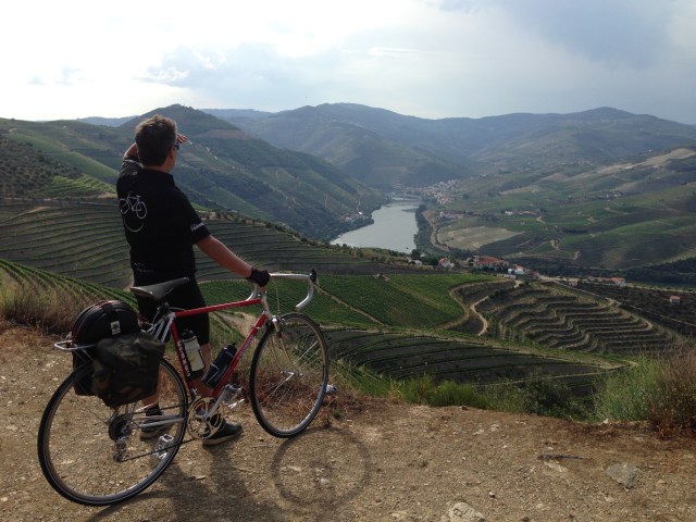 Ervedosa do Douro (N222)