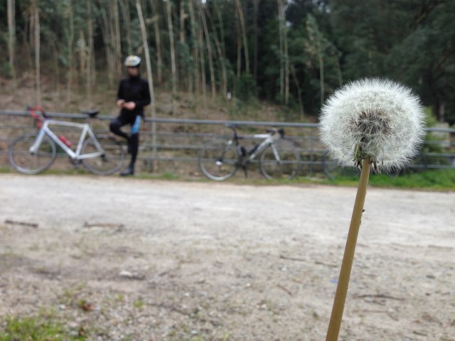 pedaladas e fotografias