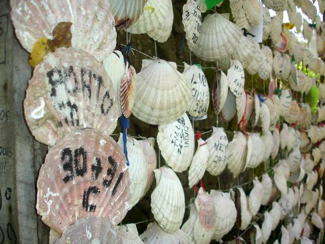 o Caminho são caminhos #01