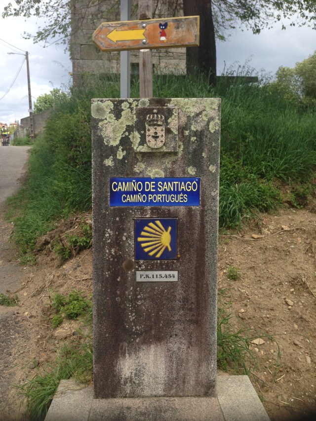 o Caminho são caminhos #59