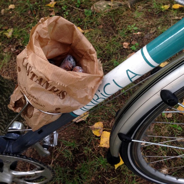 a-estalar-vindas-da-brasa