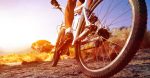 low angle view of cyclist riding mountain bike on rocky trail at
