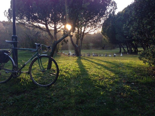 reuniao-de-condominio